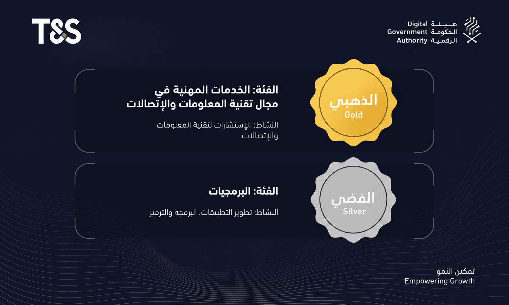 Digital Excellence