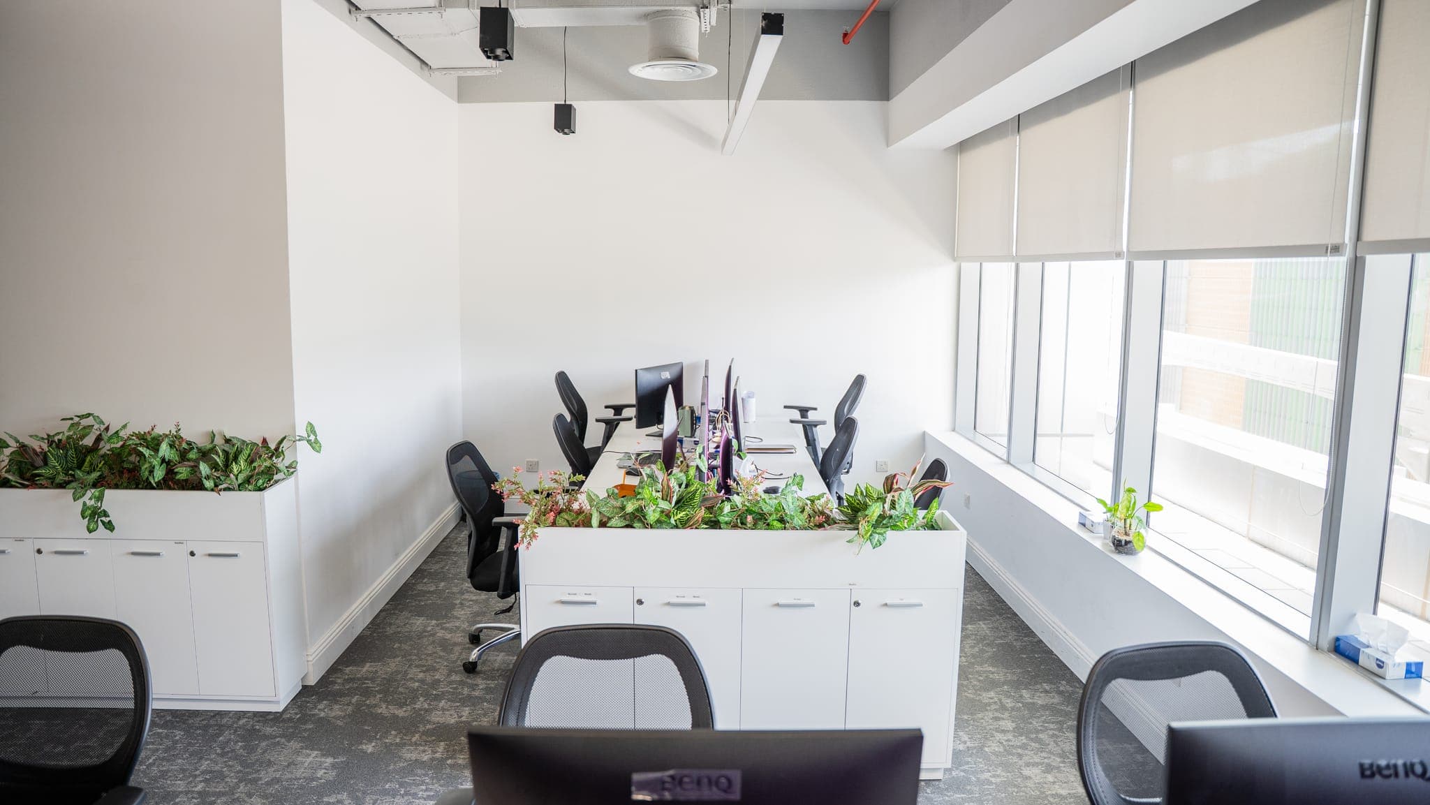Customized office
